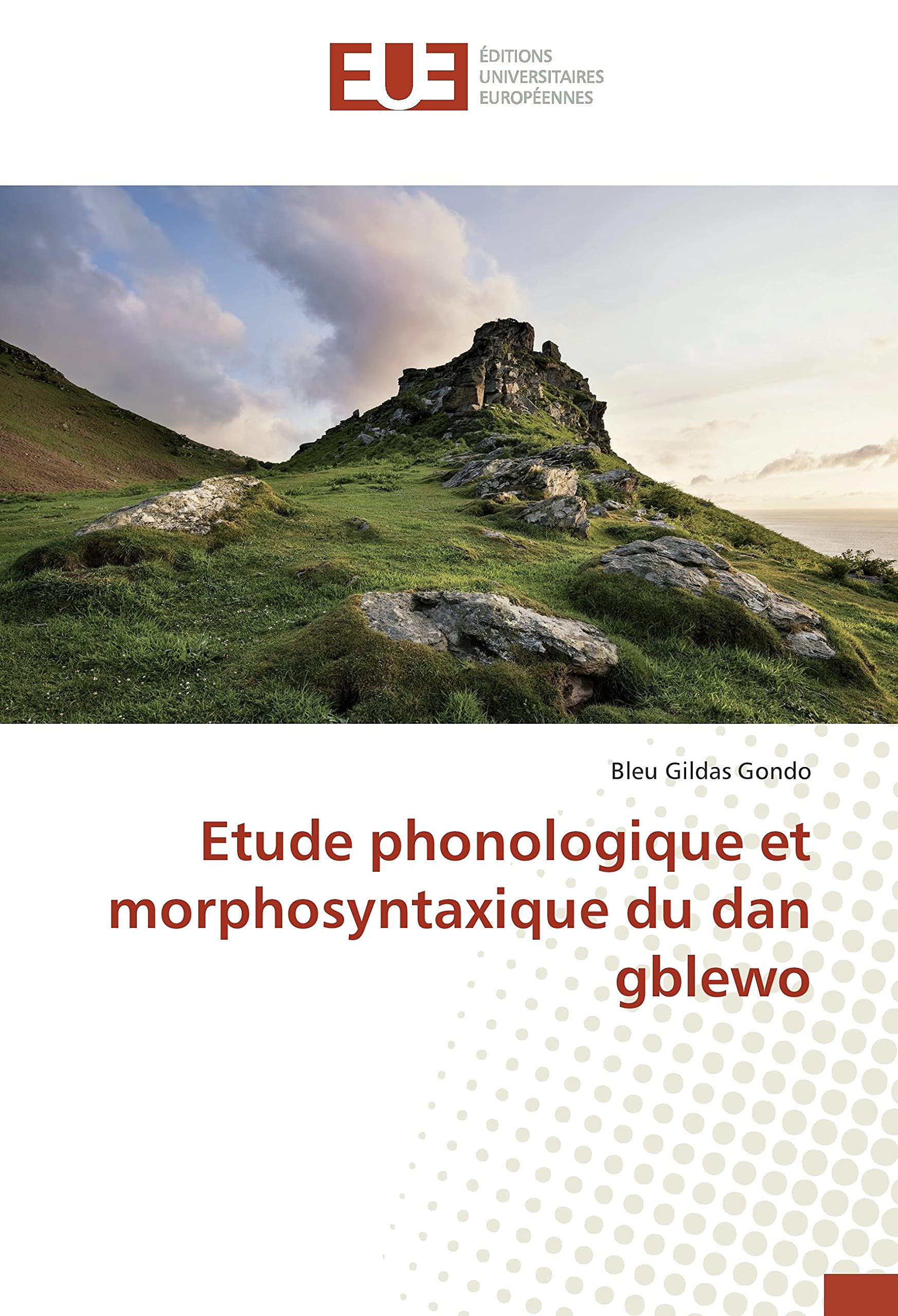 Etude phonologique et morphosyntaxique du dan gblewo book