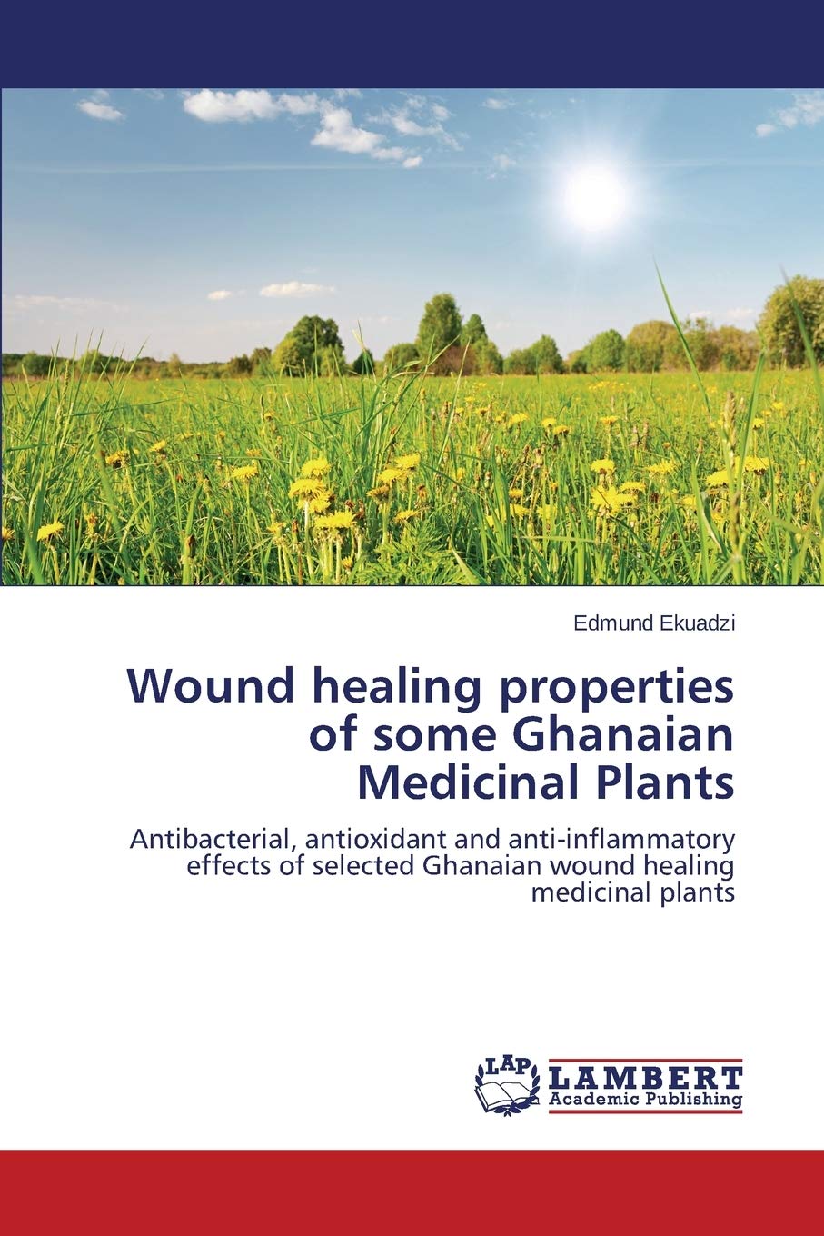 Wound healing properties of some Ghanaian Medicinal Plants: Antibacterial, antioxidant and anti-inflammatory effects of selected Ghanaian wound healing medicinal plants Medicine