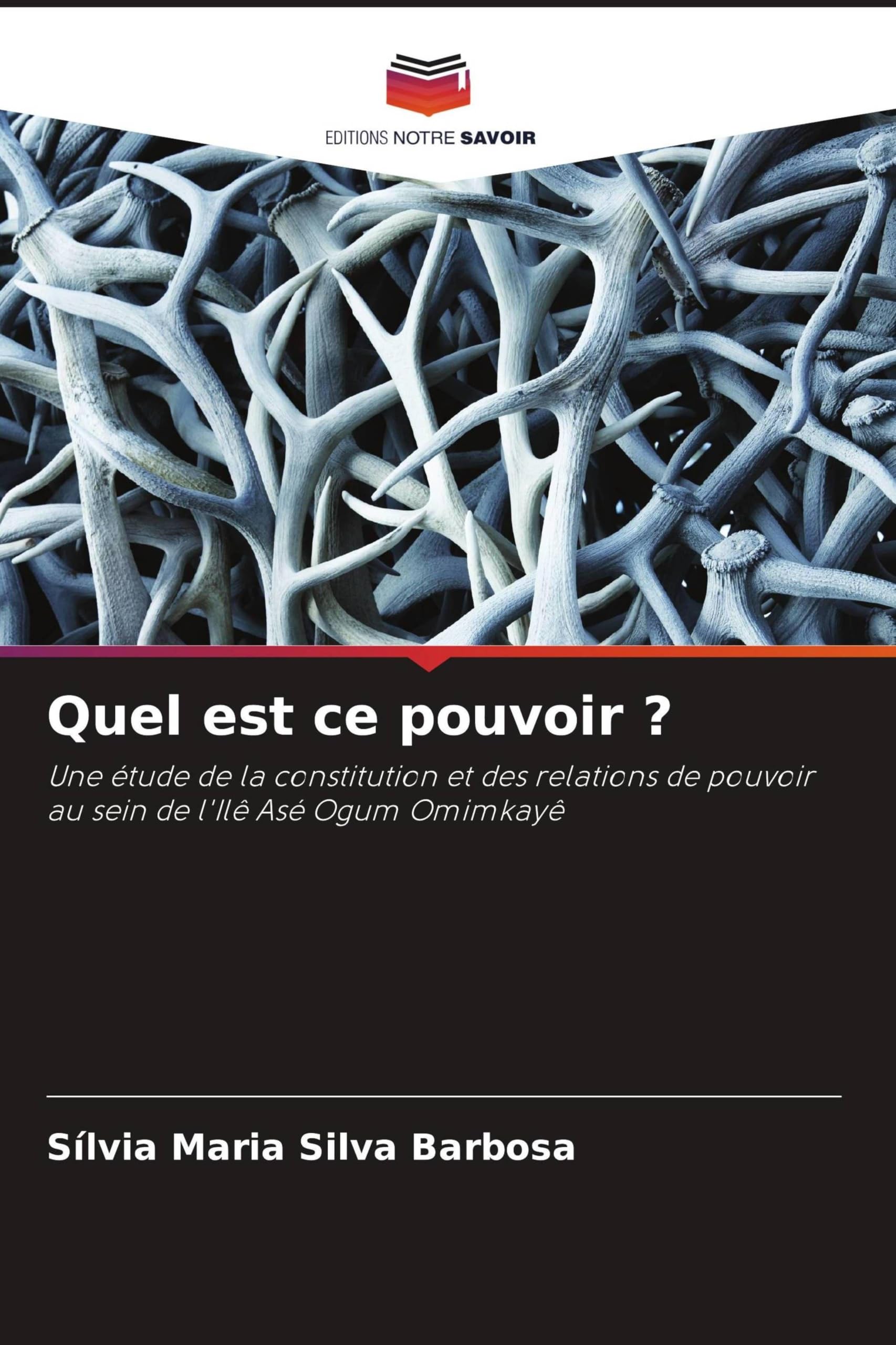 Quel est ce pouvoir ? Books