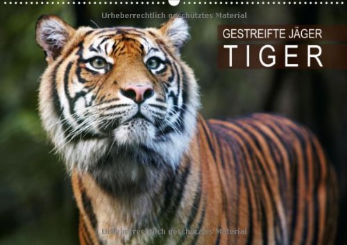 Gestreifte Jäger - Tiger (Wandkalender 2013 DIN A2 quer): Die größte Katzenart der Erde (Monatskalender, 14 Seiten) Natural Sciences