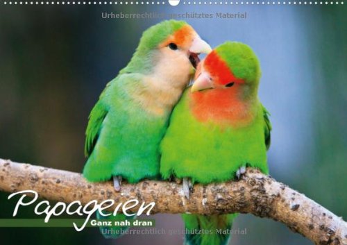 Papageien - Ganz nah dran (Wandkalender 2013 DIN A3 quer): Bunte Exoten im Porträt (Monatskalender, 14 Seiten) Natural Sciences