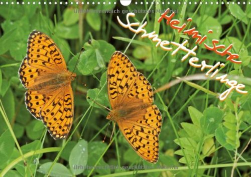 Heimische Schmetterlinge (Wandkalender 2013 DIN A4 quer): Das Glück ist wie ein Schmetterling (Monatskalender, 14 Seiten) Natural Sciences