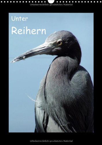 Unter Reihern (Wandkalender 2013 DIN A3 hoch): Reiher brauchen mehr Freunde - Like! (Monatskalender, 14 Seiten) Natural Sciences