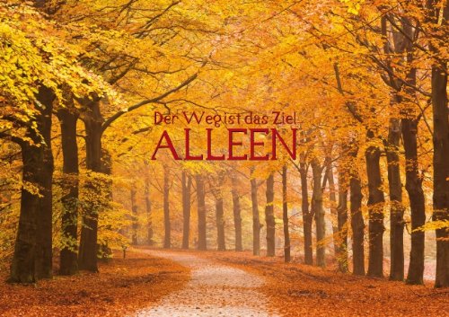 Der Weg ist das Ziel – Alleen (Posterbuch DIN A3 quer): Alleen – Blätterdächer über Straßen und Wege (Posterbuch, 14 Seiten): Blätterdächer über Asphalt (Posterbuch, 14 Seiten) (CALVENDO Natur) Architecture