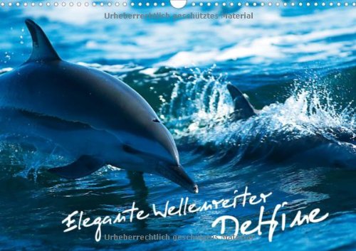 Elegante Wellenreiter: Delfine (Wandkalender 2013 DIN A4 quer): Die Welt der verspielten Meeressäuger (Monatskalender, 14 Seiten) Natural Sciences
