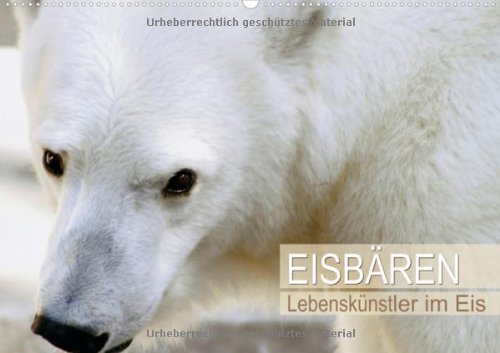 Eisbären - Lebenskünstler im Eis (Wandkalender 2013 DIN A2 quer): Faszination Polarbär (Monatskalender, 14 Seiten) Natural Sciences