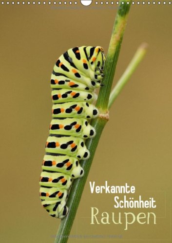 Verkannte Schönheit: Raupen (Wandkalender 2013 DIN A4 hoch): Nimmersatt und farbenfroh (Monatskalender, 14 Seiten) Natural Sciences