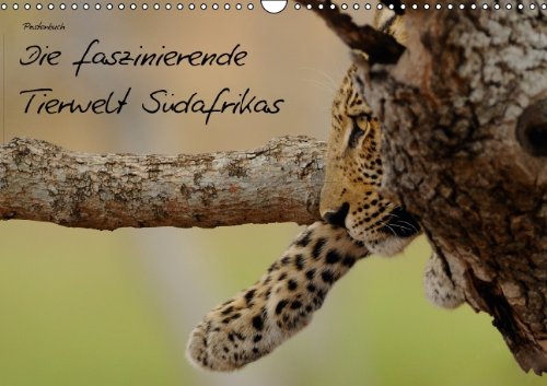 Die faszinierende Tierwelt Südafrikas (PosterbuchDIN A3 quer): Gehen Sie Safari durch Südafrika (Posterbuch, 14 Seiten) (CALVENDO Tiere) Schmalhofer, Christian Posters
