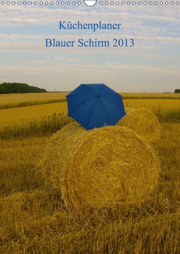 Küchenplaner Blauer Schirm 2013 (Wandkalender 2013 DIN A3 hoch): Die Fotos der "Edition Blauer Schirm" im praktischen 5-spaltigen Familienplaner (Monatskalender, 14 Seiten) Calendars