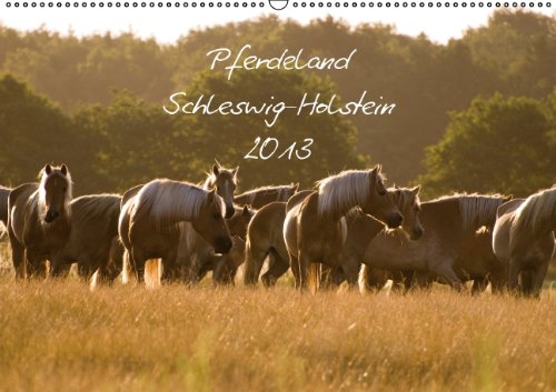 Pferdeland (Wandkalender 2013 DIN A3 quer): Schleswig-Holstein (Monatskalender, 14 Seiten) Calendars