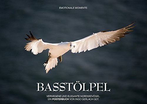 Emotionale Momente: Basstölpel (Posterbuch DIN A4 quer): Anmutig, pfeilschnell und elegant – die Basstölpel auf Helgoland. (Posterbuch, 14 Seiten ) ... Gerlach GDT, Ingo Posters