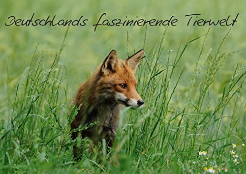 Deutschlands faszinierende Tierwelt (Posterbuch DIN A3 quer): Erleben Sie Deutschlands faszinierende Tiere (Posterbuch, 14 Seiten ) (CALVENDO Tiere) Schmalhofer, Christian Posters
