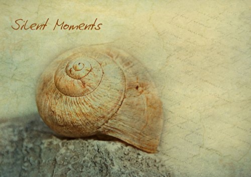 Silent Moments (Posterbuch DIN A3 quer): Wellness für Augen und Seele (Posterbuch, 14 Seiten ) (CALVENDO Kunst) Möckel / Lucy L!u, Claudia Lifestyle