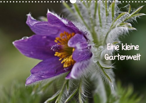 eine kleine Gartenwelt (Posterbuch DIN A3 quer) Posters