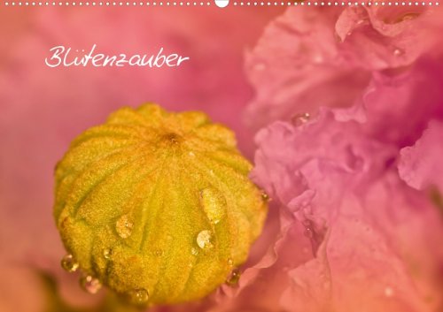 Blütenzauber – Traumhafte Natur (Posterbuch DIN A3 quer): Farbenfrohe Motive für die Wand! (Posterbuch, 14 Seiten) (CALVENDO Natur) Leisure, Home & Garden