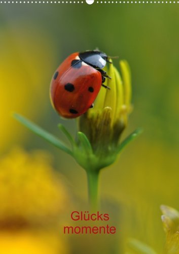 Glücksmomente (Wandkalender 2013 DIN A3 hoch): Planung ist alles... manchmal aber auch Glückssache! (Monatskalender, 14 Seiten) Living & Furnishing