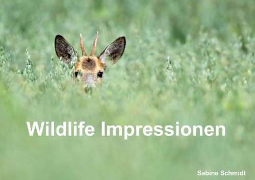 Wildlife Impressionen (Posterbuch DIN A3 quer): Waldtiere in Deutschland (Posterbuch, 14 Seiten) (CALVENDO Tiere) Schmidt, Sabine Pets