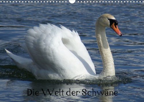 Die Welt der Schwäne (Posterbuch DIN A3 quer): König der Wasservögel (Posterbuch, 14 Seiten ) (CALVENDO Tiere) kattobello, k.A. Living & Furnishing