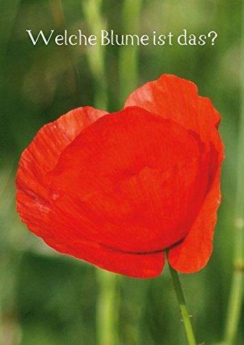 Welche Blume ist das? (Posterbuch DIN A4 hoch): Bestimmung von Garten un Wildblumen (Posterbuch, 14 Seiten ) (CALVENDO Natur) kattobello, k.A. Film, Art & Culture