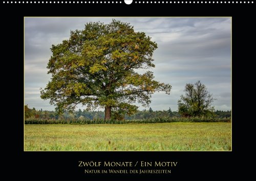 Zwölf Monate - Ein Motiv (Wandkalender 2013 DIN A3 quer): Natur im Wandel der Jahreszeiten (Monatskalender, 14 Seiten) Books