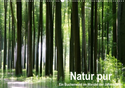 Natur pur - ein Buchenwald im Wandel der Jahreszeiten (Wandkalender 2013 DIN A4 quer): Ein schöner Buchenwald zu verschiedenen Jahreszeiten (Monatskalender, 14 Seiten) Books