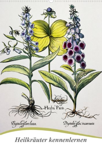 Heilkräuter kennenlernen (Posterbuch DIN A4 hoch): Fingerhut, Herbstalraune und Schlafmohn (Posterbuch, 14 Seiten) (CALVENDO Natur) Lifestyle