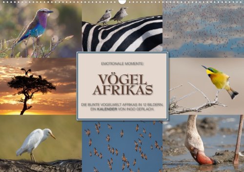 Emotionale Momente: Vögel Afrikas (Wandkalender 2013 DIN A4 quer): Die bunte Vogelwelt Afrikas in 12 Bildern. Ein Kalender von Ingo Gerlach. (Monatskalender, 14 Seiten) Books
