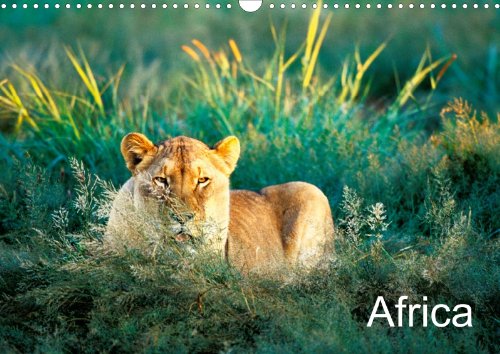 Africa (wall calendar 2013 DIN A4 landscape): Africas Animals in colorful pictures. (monthly calendar, 14 pages) Leisure, Home & Garden