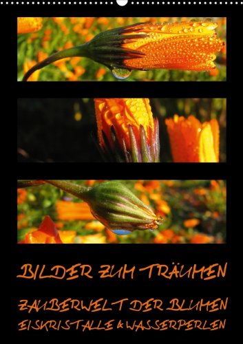 BILDER ZUM TRÄUMEN - ZAUBERWELT DER BLUMEN - EISKRISTALLE & WASSERPERLEN (Posterbuch DIN A2 hoch): Makroaufnahmen exotischer Pflanzen mit ... ... und Wasserperlen (Posterbuch, 14 Seiten) Photography