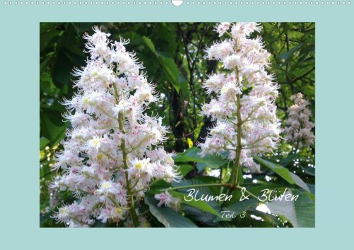 Blumen & Blüten - Teil 3 (Wandkalender 2014 DIN A3 quer): Blumen und Blüten aus unserer Heimat, voller Faszination von Natur, Farben und Formen. ... aus Erfurt. (Monatskalender, 14 Seiten) Film, Art & Culture
