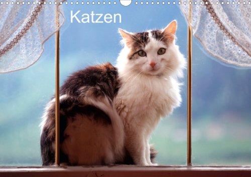 Katzen (Posterbuch DIN A3 quer): Katzen fotografiert von Werner Layer (Posterbuch, 14 Seiten) (CALVENDO Orte) Posters