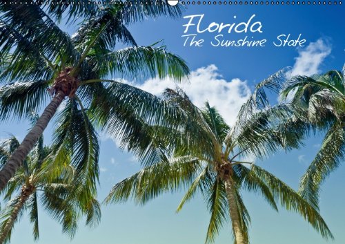 Florida - The Sunshine State (Wandkalender 2014 DIN A2 quer): Sonne, Strand, Palmen & ruhige Orte - Urlaubsfeeling in Vollendung! (Monatskalender, 14 Seiten) Leisure, Home & Garden