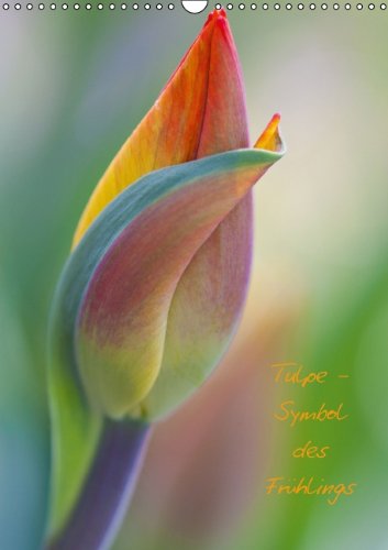 Tulpe - Symbol des Frühlings (Wandkalender 2014 DIN A3 hoch): Tulpenknospen und -kelche in ihrer schönsten Form (Monatskalender, 14 Seiten) Film, Art & Culture