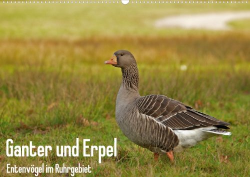 Ganter und Erpel  (Posterbuch DIN A4 quer) Cooking & Enjoying