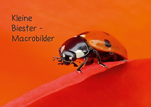 Kleine Biester - Macrobilder (Posterbuch DIN A2 quer): Macrobilder heimischer Insekten (Posterbuch, 14 Seiten ) (CALVENDO Tiere) Zänkert, Martin Photography