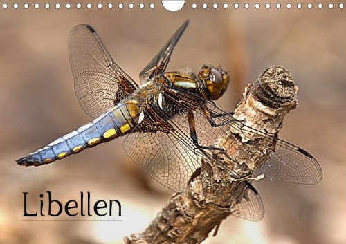 Libellen (Wandkalender 2014 DIN A4 quer): Die schnellen Flieger unter den Insekten. (Monatskalender, 14 Seiten) Lifestyle