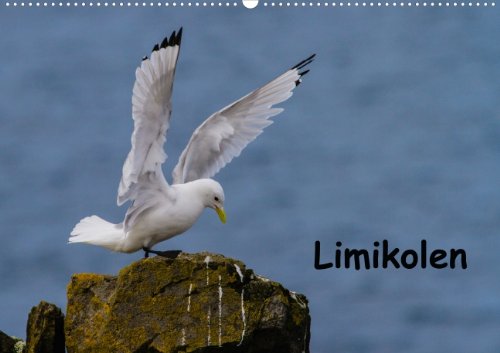 Limikolen (Wandkalender 2014 DIN A3 quer): Vögel der Meeresküsten, Seen, Flüsse und Sümpfe (Monatskalender, 14 Seiten) Leisure, Home & Garden