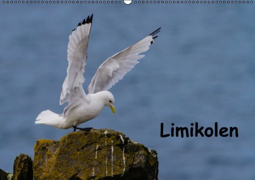 Limikolen (Wandkalender 2014 DIN A2 quer): Vögel der Meeresküsten, Seen, Flüsse und Sümpfe (Monatskalender, 14 Seiten) Leisure, Home & Garden