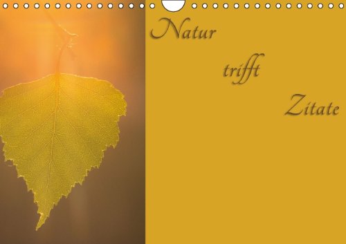 Natur trifft Zitate (Wandkalender 2014 DIN A4 quer): Naturbilder geschmückt mit Zitaten (Monatskalender, 14 Seiten) Film, Art & Culture