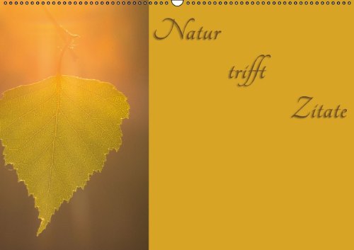Natur trifft Zitate (Wandkalender 2014 DIN A2 quer): Naturbilder geschmückt mit Zitaten (Monatskalender, 14 Seiten) Film, Art & Culture