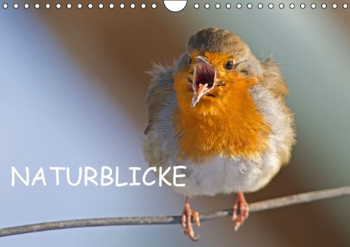 Naturblicke (Wandkalender 2014 DIN A4 quer): Heimische Naturimpressionen im Jahresverlauf (Monatskalender, 14 Seiten) Computer Science