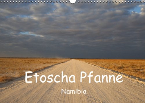 Etoscha Pfanne - Namibia (Wandkalender 2014 DIN A3 quer): Fasziniernde Natur im Süden Afrikas (Monatskalender, 14 Seiten) Leisure, Home & Garden