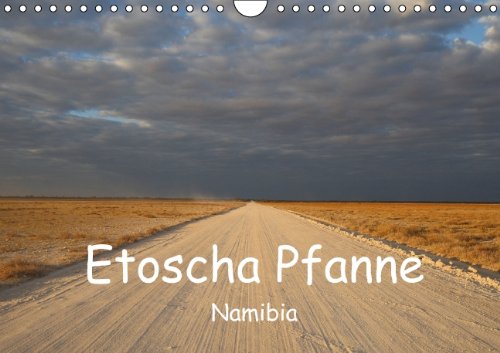 Etoscha Pfanne - Namibia (Wandkalender 2014 DIN A4 quer): Fasziniernde Natur im Süden Afrikas (Monatskalender, 14 Seiten) Leisure, Home & Garden