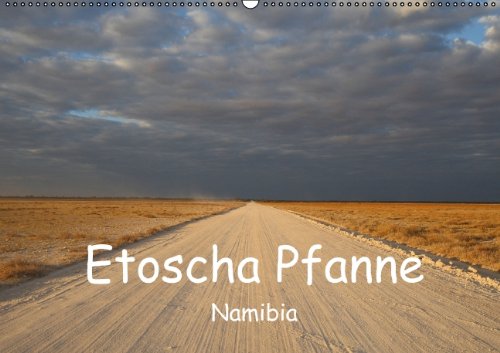 Etoscha Pfanne - Namibia (Wandkalender 2014 DIN A2 quer): Fasziniernde Natur im Süden Afrikas (Monatskalender, 14 Seiten) Leisure, Home & Garden