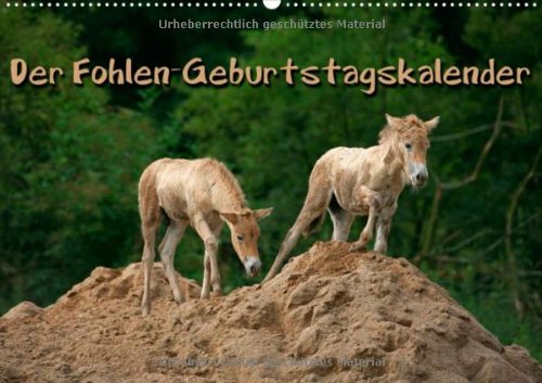 Der Fohlen-Geburtstagskalender (Wandkalender immerwährend DIN A3 quer): Lebensfreude pur - Pferdekinder Monatskalender, 14 Seiten (CALVENDO Tiere) Natural Sciences
