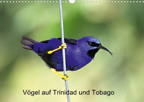 Vögel auf Trinidad und Tobago (Wandkalender 2014 DIN A3 quer): Kleine Auswahl aus den 400 Vogelarten auf Trinidad & Tobago (Monatskalender, 14 Seiten) Natural Sciences