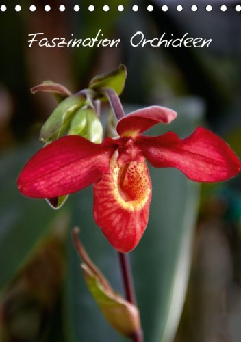 Faszination Orchideen (Tischkalender 2014 DIN A5 hoch): Der Kalender für den Orchideen-Liebhaber (Tischkalender, 14 Seiten) Leisure, Home & Garden