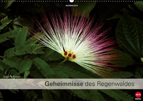 Geheimnisse des Regenwaldes (Wandkalender 2014 DIN A2 quer): 12 Einblicke in diese herrlichen grünen Naturparadiese der Welt (Monatskalender, 14 Seiten) Leisure, Home & Garden