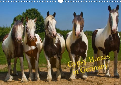 Gypsy Horses (Wandkalender 2014 DIN A4 quer): Schönheiten mit Puschelfüssen (Monatskalender, 14 Seiten) Natural Sciences