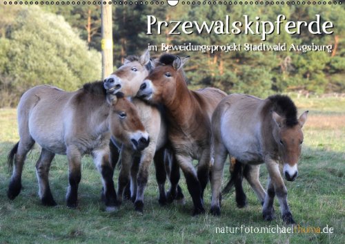 Przewalskipferde (Wandkalender 2014 DIN A3 quer): im Beweidungsprojekt Stadtwald Augsburg (Monatskalender, 14 Seiten) Natural Sciences